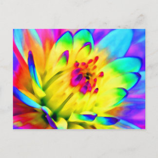 colourful dahlia postcard