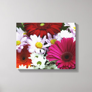 Colourful Daisies Canvas Print