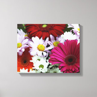 Colourful Daisies Canvas Print
