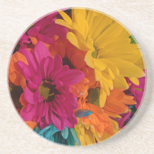 Colourful Daisies Coaster