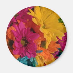 Colourful Daisies Magnet