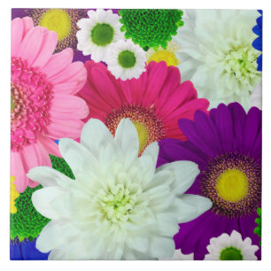 Colourful Daisies, summer blooms, Tile