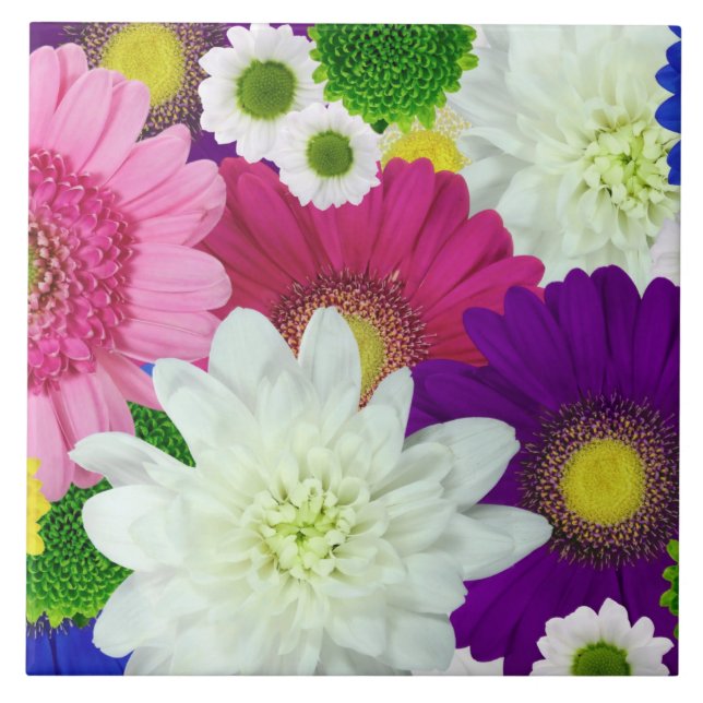 Colourful Daisies, summer blooms, Tile (Front)