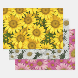 Colourful Daisies Wrapping Paper Sheet