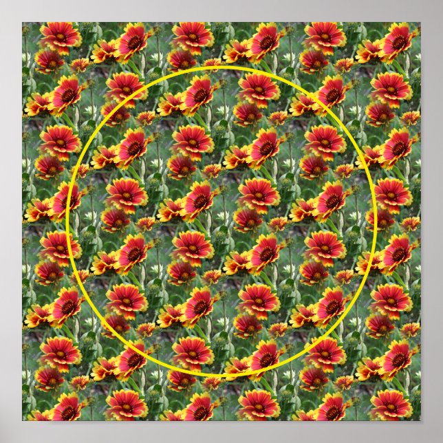 Colourful Daisy Flowers Frame Create Your Own Phot Poster (Front)