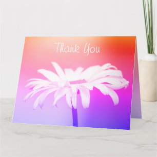 Colourful Daisy With Coral and Pink Card