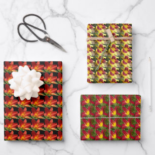 Colourful Daylilies Floral Pattern Wrapping Paper Sheet