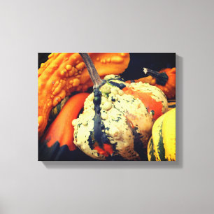Colourful Decorative Gourds Close Up Fall  Canvas Print