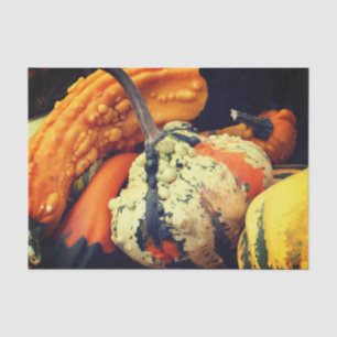 Colourful Decorative Gourds Close Up Fall Decoupag Tissue Paper