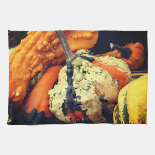 Colourful Decorative Gourds Close Up Fall  Kitchen Towel