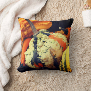 Colourful Decorative Gourds Close Up Fall   Throw Pillow