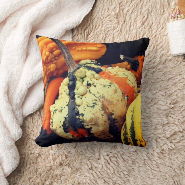 Colourful Decorative Gourds Close Up Fall   Throw Pillow (Blanket)
