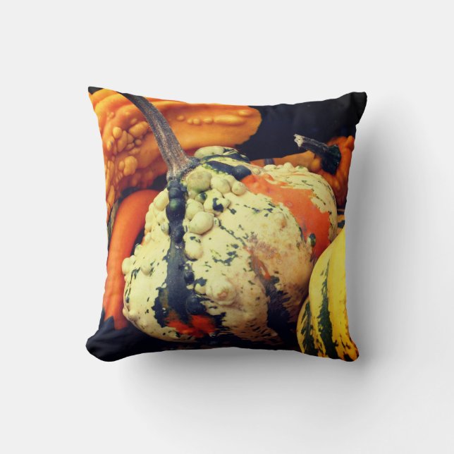 Colourful Decorative Gourds Close Up Fall   Throw Pillow (Front)