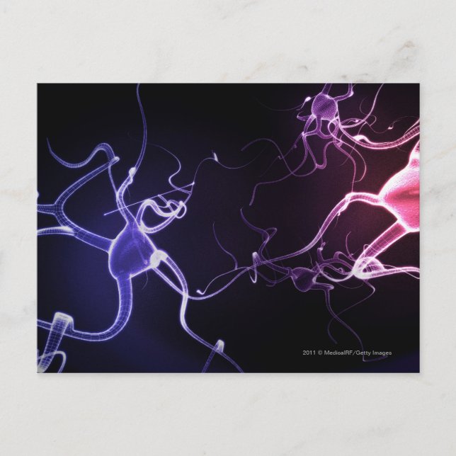 Colourful depiction of neurons postcard (Front)