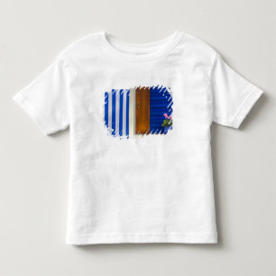 Colourful design contrast on residence toddler t-shirt