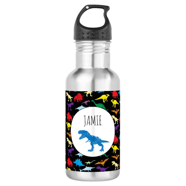 Colourful Dinosaurs Kids Pattern 532 Ml Water Bottle (Front)