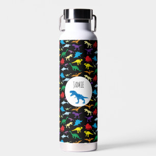Colourful Dinosaurs Kids Pattern  Water Bottle