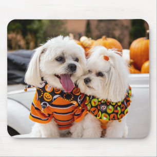 Colourful Dogs Mouse Pad