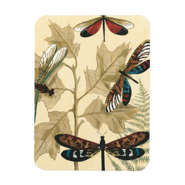 Colourful Dragonflies Floating Above Leaves Magnet (Vertical)