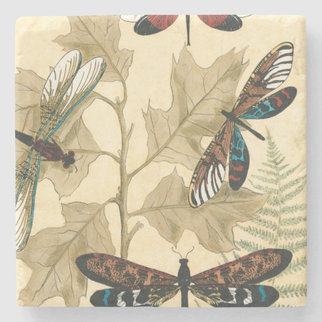 Colourful Dragonflies Floating Above Leaves Stone Coaster (Front)