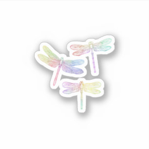 Colourful Dragonfly 