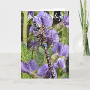 Colourful Dragonfly on Purple Flowers Birthday Card