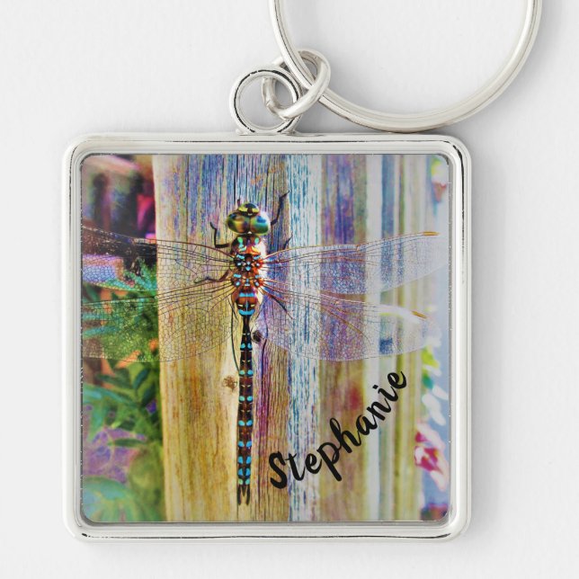 Colourful Dragonfly Wings Spread in Sunlight Keychain (Front)