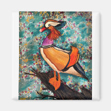 Colourful duck