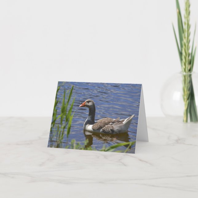 Colourful Duck Notecard (Front)