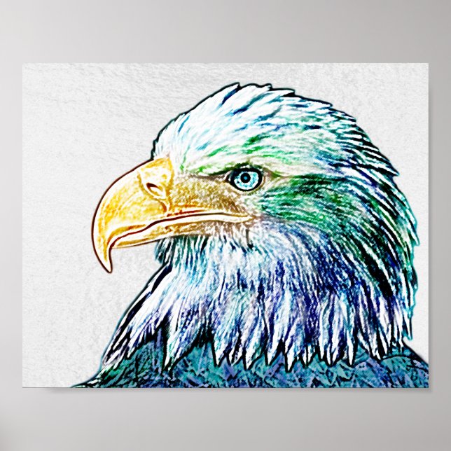 Colourful Eagle Sketch Poster (Front)