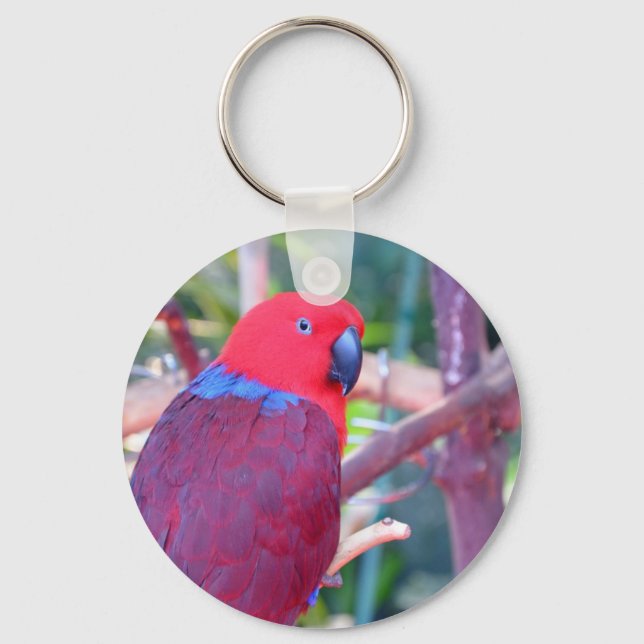 Colourful eclectus parrot keychain (Front)