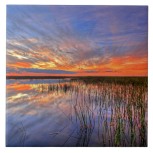 Colourful Everglades, Florida, Tile