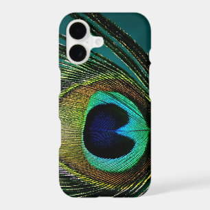 Colourful Exotic Peacock Feather Modern