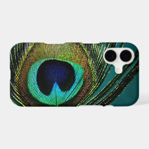 Colourful Exotic Peacock Feather Modern Photograph