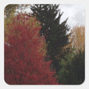 Colourful Fall Autumn Trees Custom Stickers