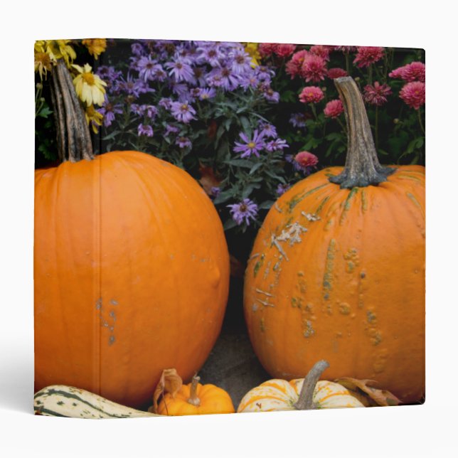 Colourful fall decorative pumpkin display binder (Front/Spine)