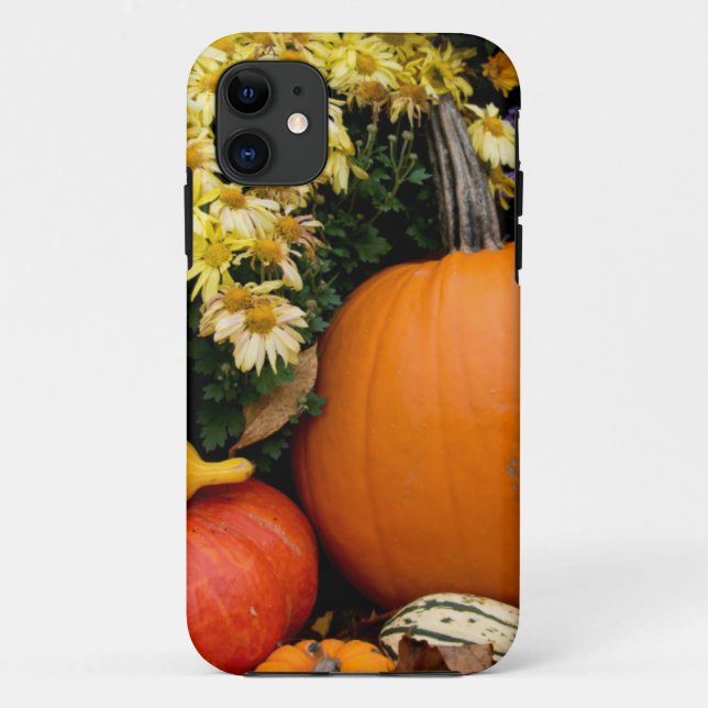 Colourful fall decorative pumpkin display Case-Mate iPhone case (Back)