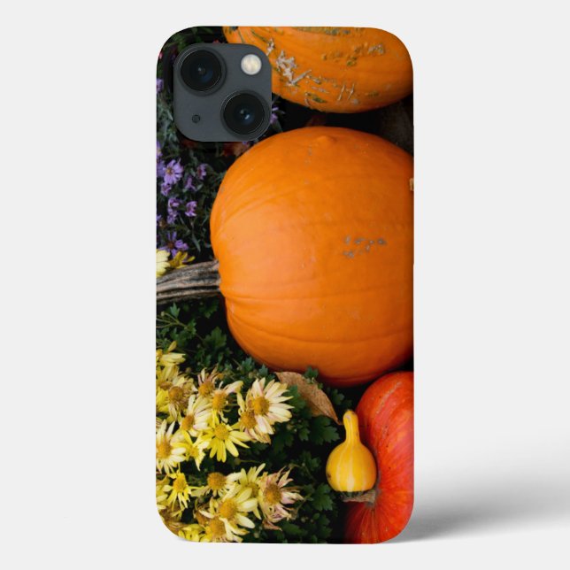Colourful fall decorative pumpkin display Case-Mate iPhone case (Back)