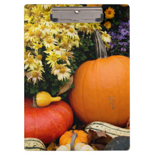 Colourful fall decorative pumpkin display clipboard
