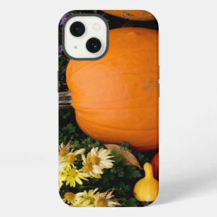 Colourful fall decorative pumpkin display iPhone 13 case