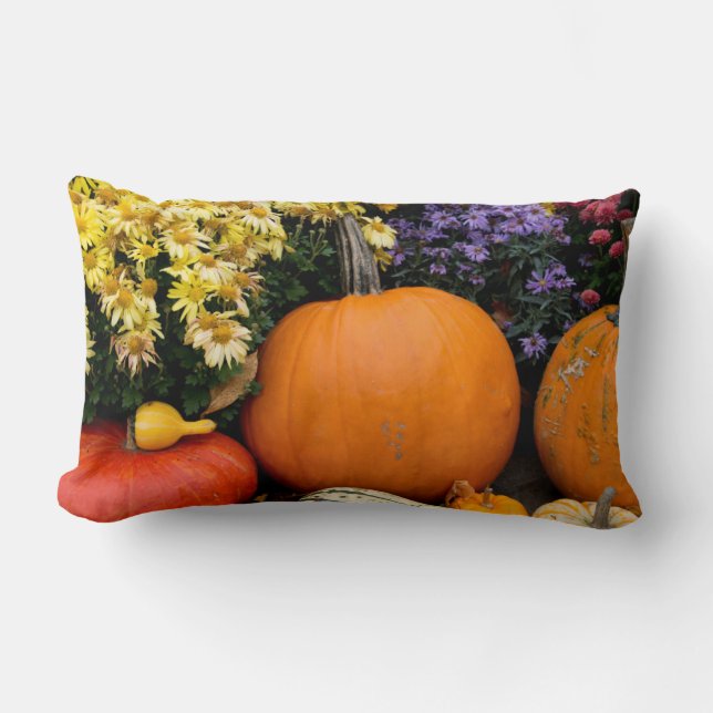 Colourful fall decorative pumpkin display lumbar pillow (Front)