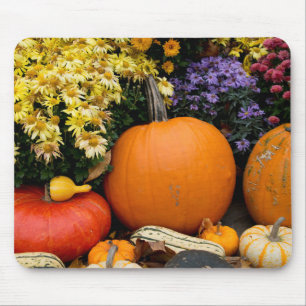 Colourful fall decorative pumpkin display mouse pad