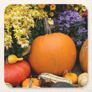 Colourful fall decorative pumpkin display square paper coaster