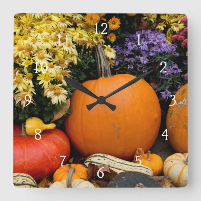 Colourful fall decorative pumpkin display square wall clock (Front)