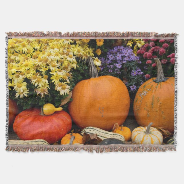 Colourful fall decorative pumpkin display throw blanket (Front)