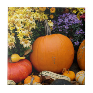 Colourful fall decorative pumpkin display tile
