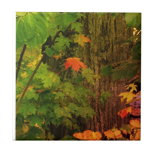 Colourful fall leaf tile (Front)