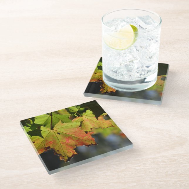 Colourful fall leaves glass coaster (Angled)