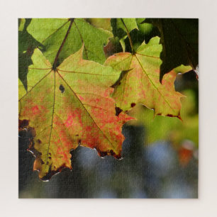 Colourful fall leaves jigsaw puzzle