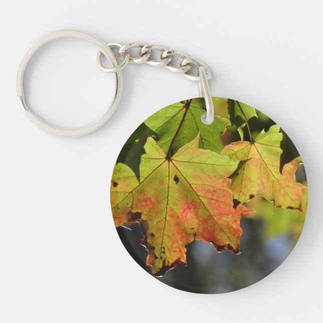 Colourful fall leaves keychain (Front)